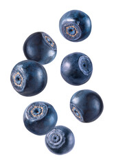 Fresh ripe bilberries falling on white background