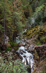 Nooksack Falls in late September