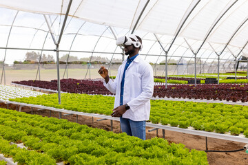 African American young male farm supervisor examining plants in a greenhouse on a hydroponic farm