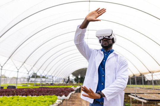 African American young male farm supervisor in VR headset at hydroponic farm in greenhouse - Powered by Adobe