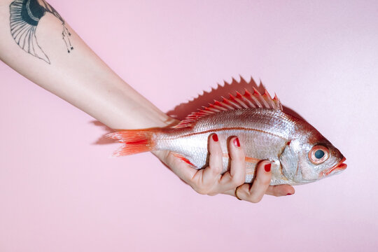 red snapper