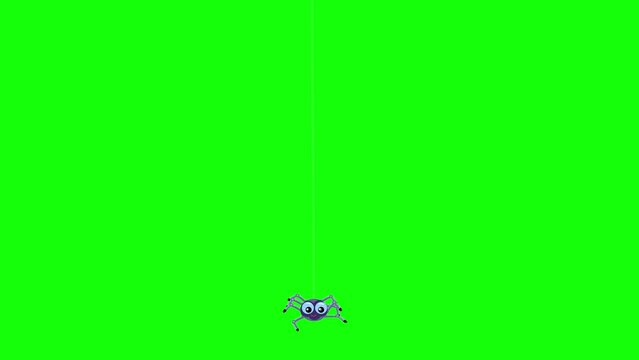 Spider cartoon character insect animal with moving legs greenbox. Green background good for keying. Seamless loop.
