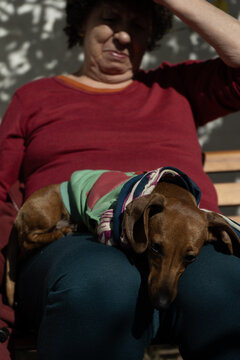 Animal theme is a lonely old woman best friend