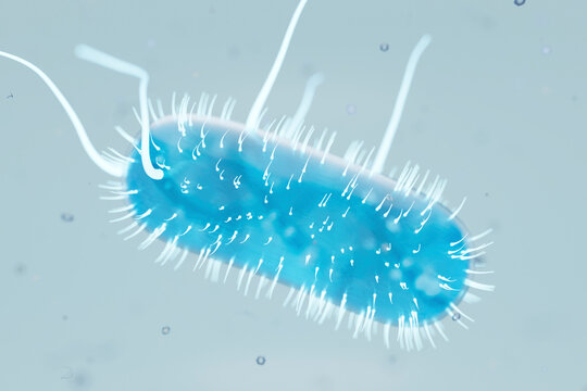 3D Render of Escherichia Coli Bacterium with Extended Flagella