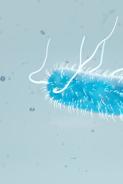 3D Render of a Single Escherichia Coli Bacterium with Flagella
