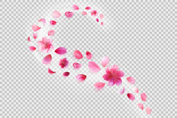 flying sakura petals. Flower decoration on transparent background. © Daaridna