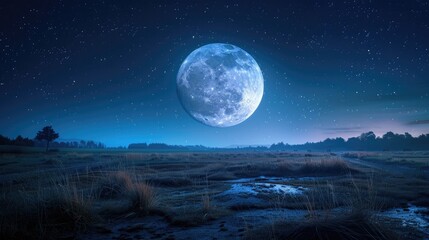 Fototapeta na wymiar Captivating Moonlit Landscape with Starry Sky and Reflective Pond