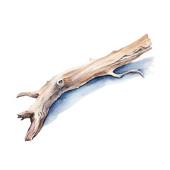 A realistic watercolor painting of a piece of driftwood - obrazy, fototapety, plakaty