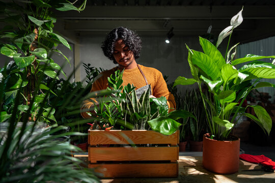 Care of plants