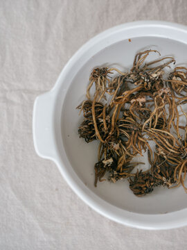 Ranunculus corms soaking