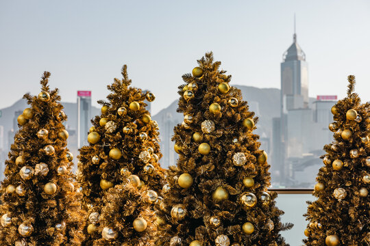 Urban Holiday Splendor