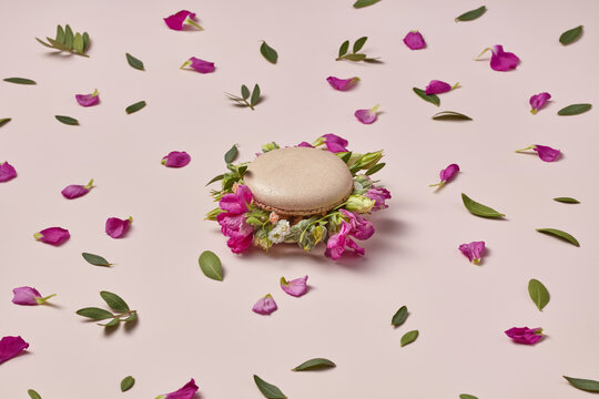 Tasty french macaron with natural fresh flowers in studio