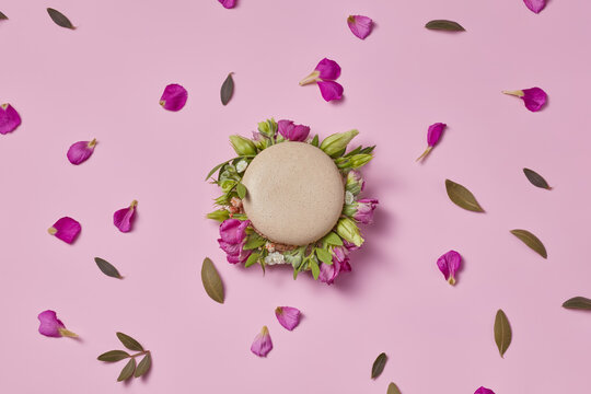 Spring colorful flowers scattered around macaron in pink studio