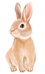 Rabbit png sticker, cute animal illustration, transparent background