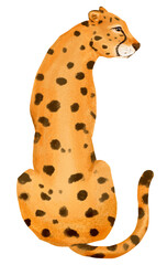 Cheetah png sticker, cute animal illustration, transparent background