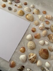 DIY handmade photo frames using shells and sea animals. Creative diy craft hobby.