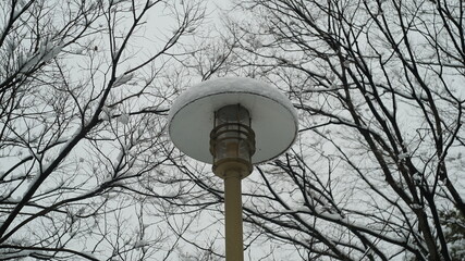 Street lamp covered in snow in winter