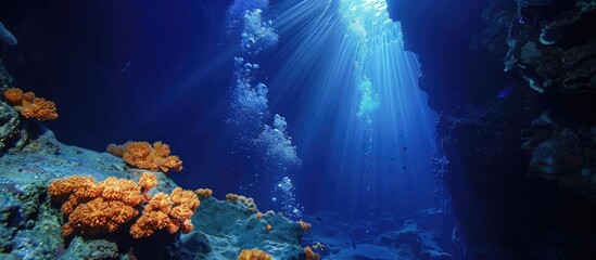 Exploring the Wonders of Deep Sea Hydrothermal Vents A Simulation of Mineral Deposition and Ecosystem Formation - obrazy, fototapety, plakaty