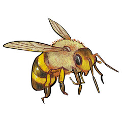 PNG Cute bumblebee, insect element, transparent background