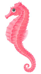 Fototapeta premium Pink seahorse png sticker, animal illustration, transparent background