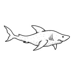 illustration of a shark
