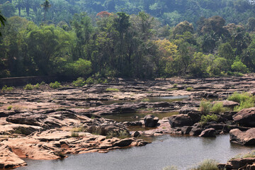 wild dried river in summer