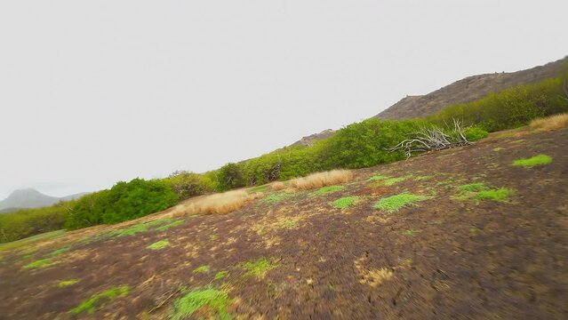 FPV flight fast and low over a plain on an island in the Caribbean