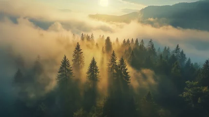 Fotobehang Early morning sun rays break through the mist in a mountain forest, casting a warm glow that gently awakens the dense canopy of trees, creating a serene and dreamlike atmosphere. © Darya