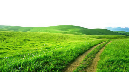 isolated green grass outdoor field landscape with roadway © starlineart