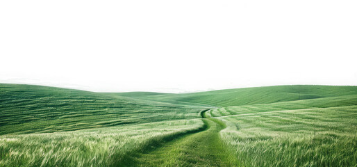 Fototapeta premium natural greenery grassland landscape on transparent background