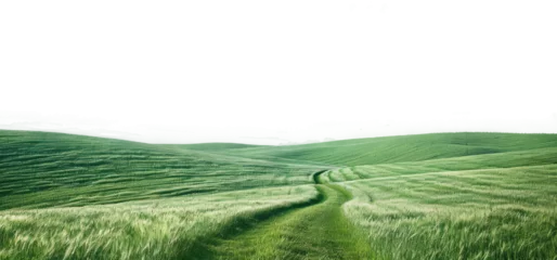 Gardinen natural greenery grassland landscape on transparent background © starlineart