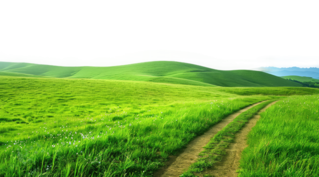 isolated green grass outdoor field landscape with roadway