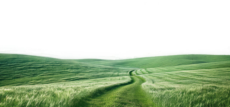 natural greenery grassland landscape on transparent background