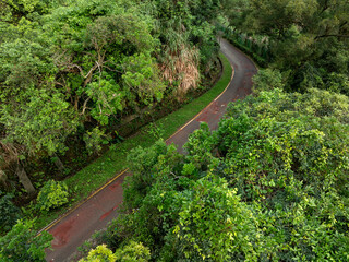Trail in tropical forest mountains