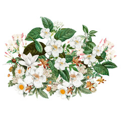 Jasmine flower png, Spring floral collage art on transparent background