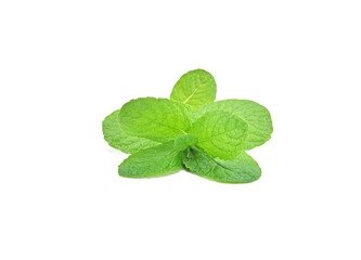 Peppermint isolated on white background.