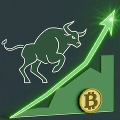 btc bull market