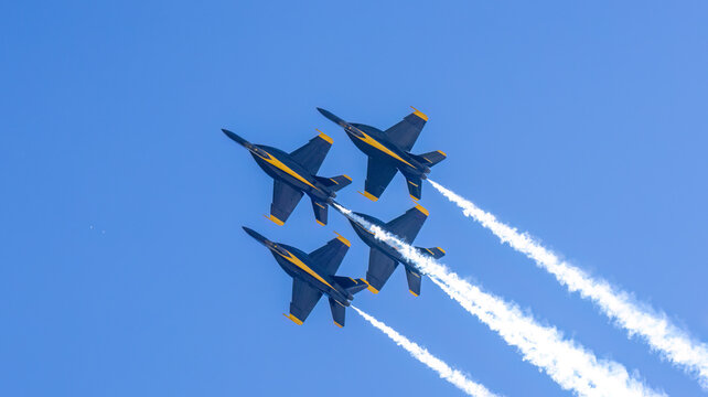 The Navy's Blue Angels demonstration Team 