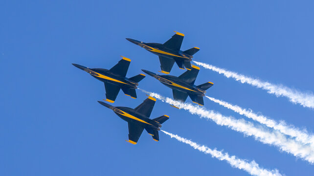 The Navy's Blue Angels demonstration Team 
