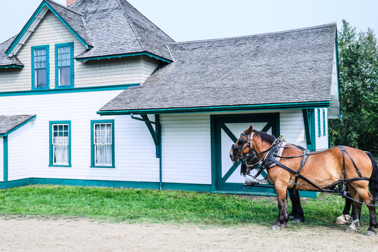 Alberta, Canada - August 22, ?2023. Alberta's Ukrainian Heritage Village, old style building and horses with wagon