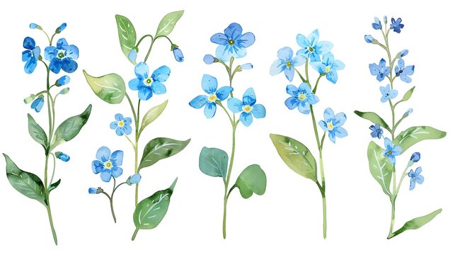 Watercolor forgetmenot clipart with small blue flowers and green leaves