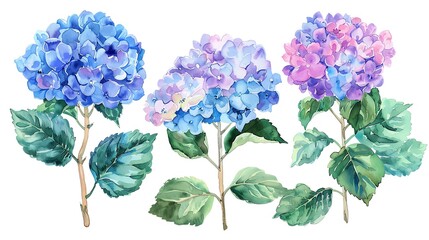 Watercolor hydrangea clipart with clusters of blue, purple, and pink flowers