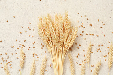 Bundle of wheat ears and grains on white table