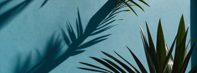 palm tree landscape backgound frame for texture 