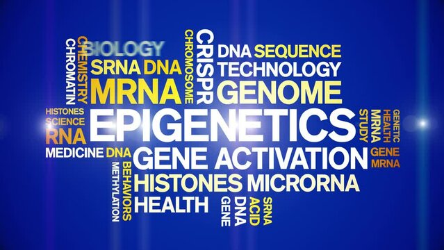 Epigenetics animated word cloud;text design animation tag kinetic typography seamless loop.