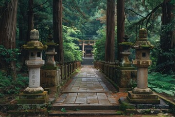 A peaceful forest path lined with towering cedar trees, leading to a hidden shrine where visitors can seek spiritual guidance.