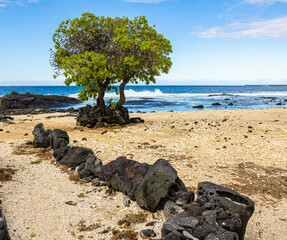 Lava Stone Lined Pathway Along Makako Bay, Ho'ona Historic Preserve, Hawaii Island, Hawaii, USA