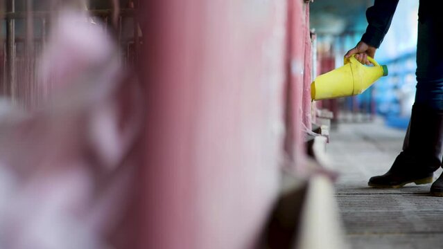 Pig feeding trough in a dirty barn.