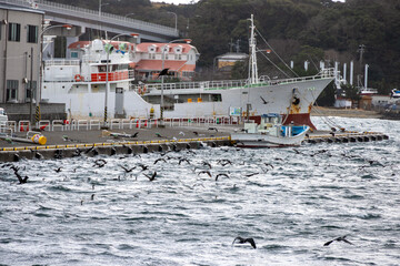 海面スレスレを飛ぶたくさんの海鳥