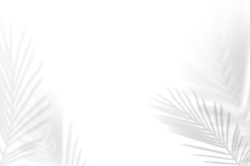 PNG Leaf shadow effect, transparent background